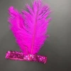 Sequined elastic hats, feather headwear, headbands, children's stage props, ethnic headbands, accessories, travel Indian details Picture